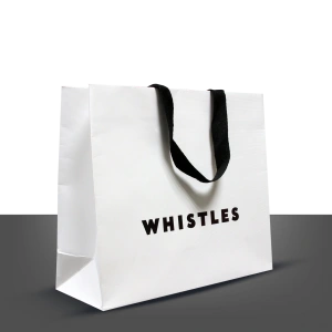 Custom Print paper bag 1