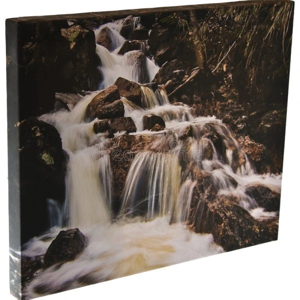 Custom Canvas Framing Vancouver