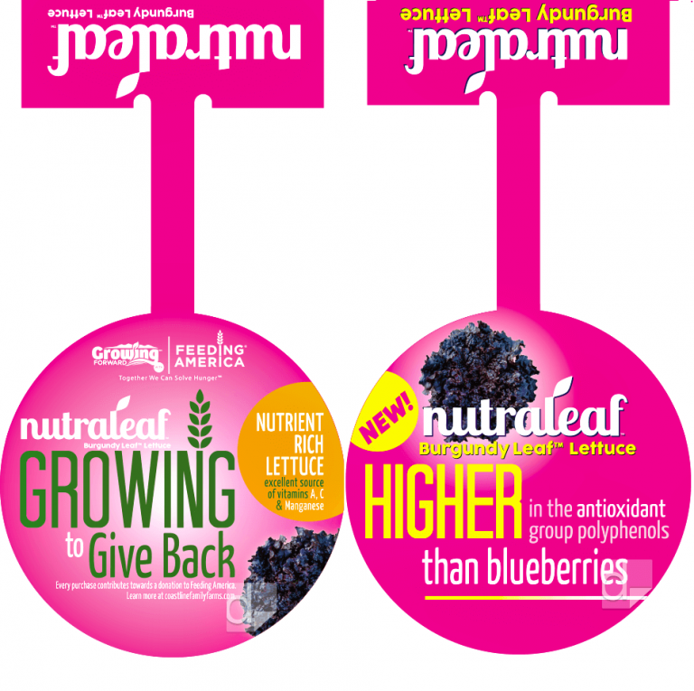 Shelf Wobblers Printing Surrey Best Shelf Wobblers Printing Surrey BC